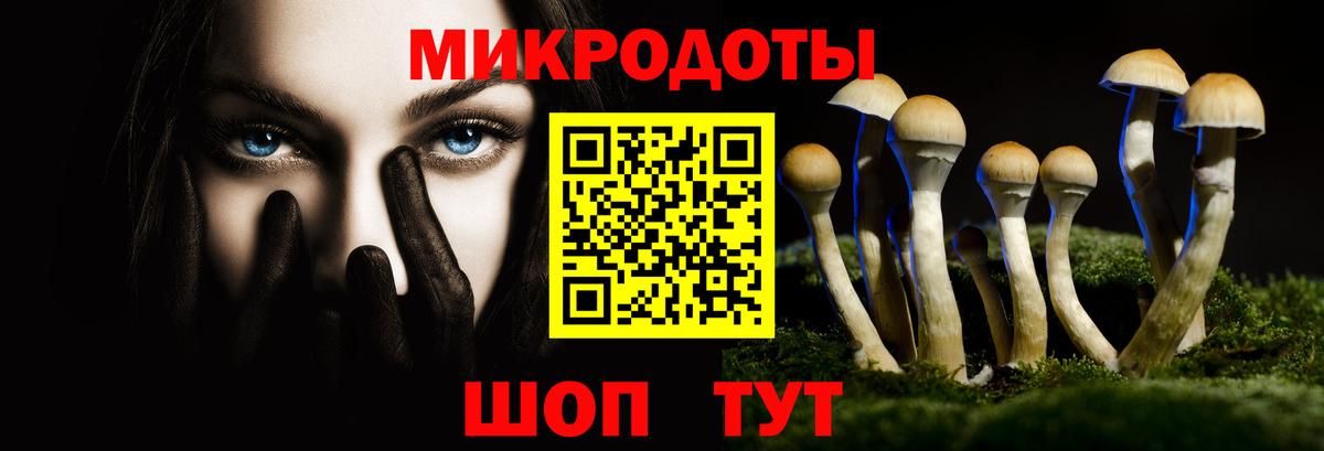 что такое   Вход с VPN  Галлюциногенные грибы Psilocybe  Урус-Мартан  Галлюциногенные грибы прущие грибы 
